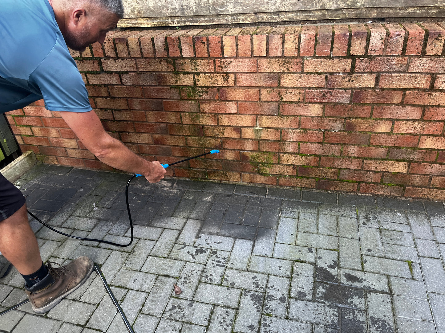 Driveway and Patio Super Cleaner (moss)